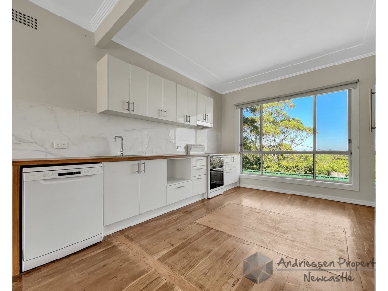 74 Main Road, Cardiff Heights NSW 2285