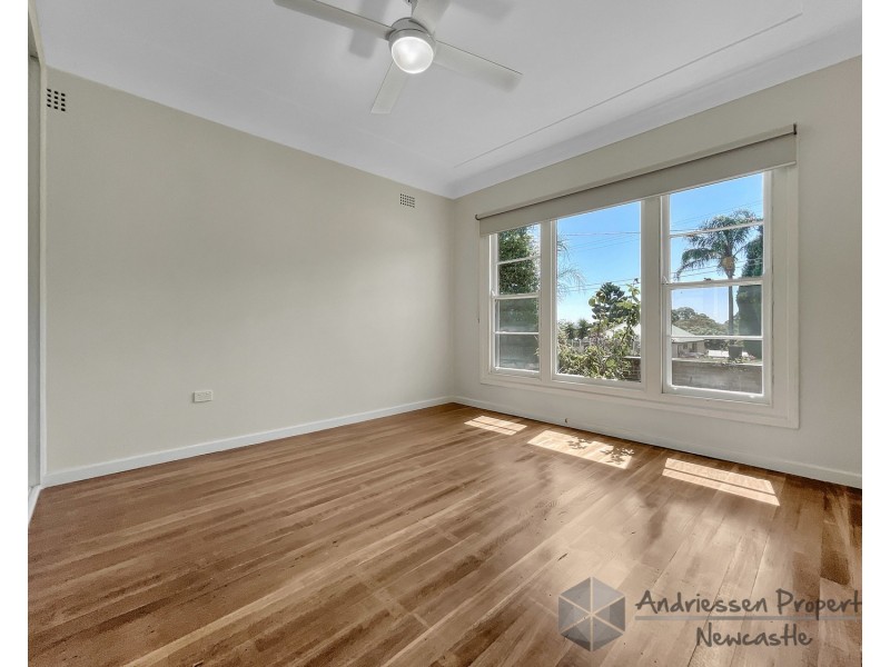 74 Main Road, Cardiff Heights NSW 2285