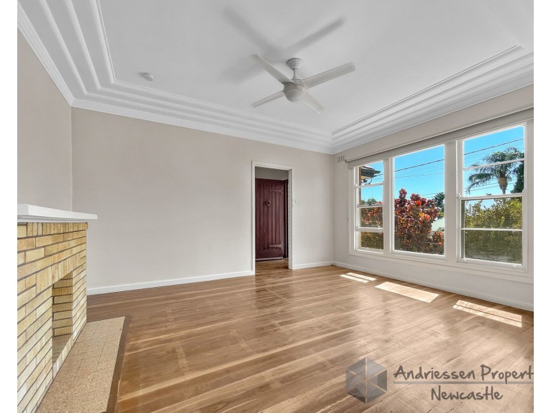 74 Main Road, Cardiff Heights NSW 2285