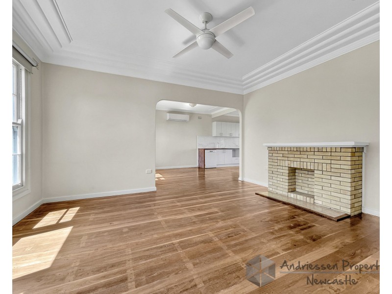 74 Main Road, Cardiff Heights NSW 2285