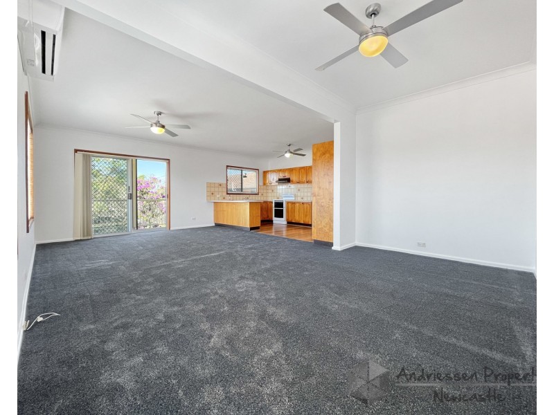 58 Second Street, Cardiff South NSW 2285