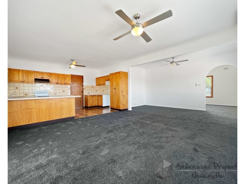 58 Second Street, Cardiff South NSW 2285