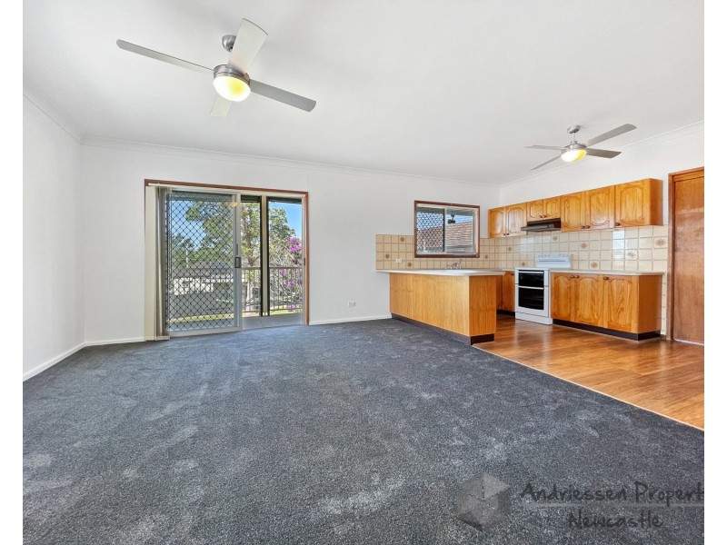 58 Second Street, Cardiff South NSW 2285