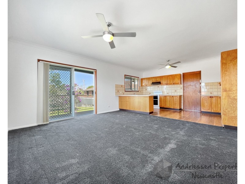58 Second Street, Cardiff South NSW 2285