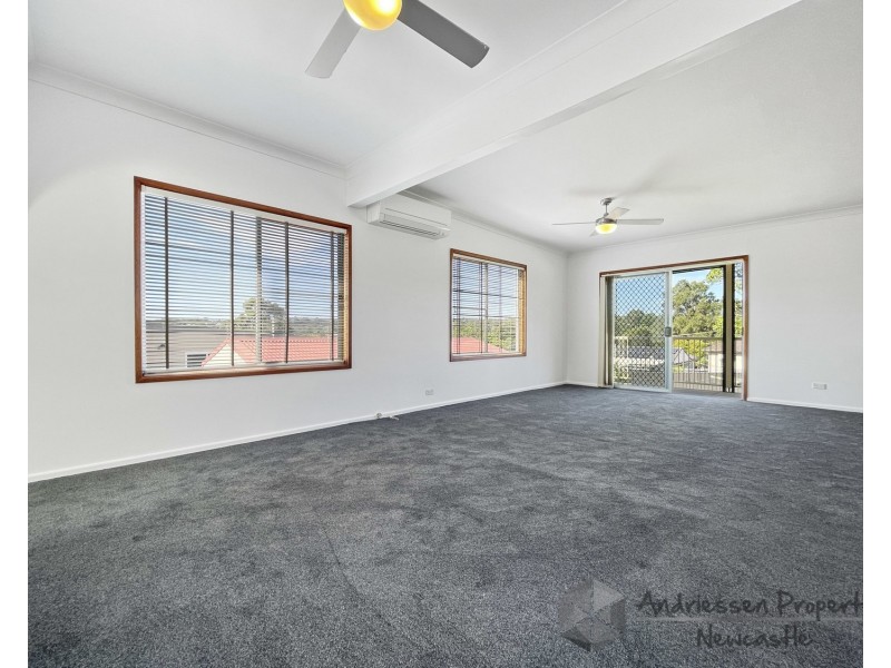 58 Second Street, Cardiff South NSW 2285