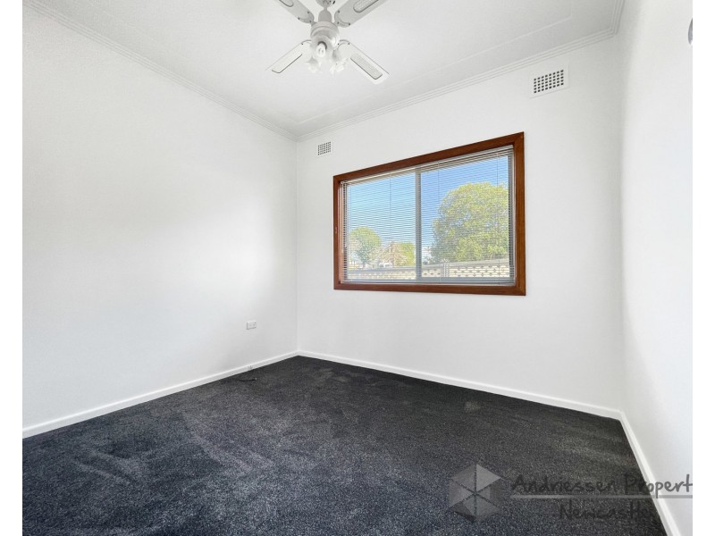 58 Second Street, Cardiff South NSW 2285