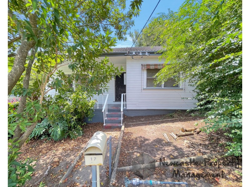 17 Lovell Street, Cardiff NSW 2285