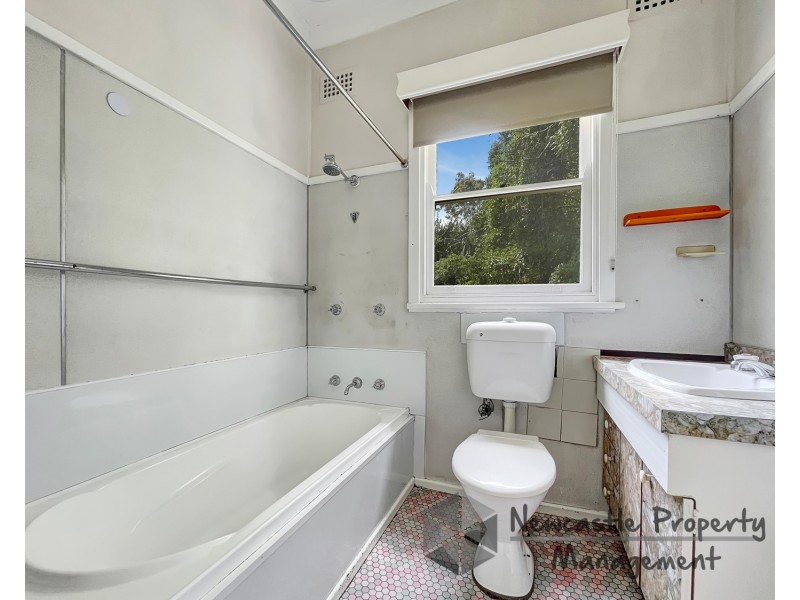 17 Lovell Street, Cardiff NSW 2285