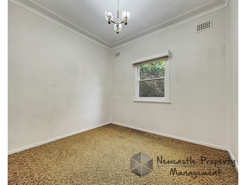 17 Lovell Street, Cardiff NSW 2285