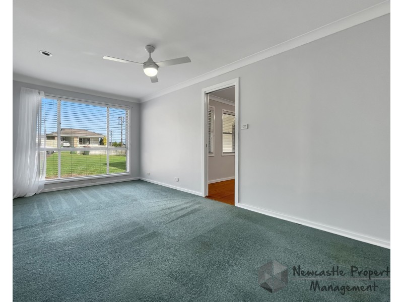 38 Etheridge Crescent, Edgeworth NSW 2285
