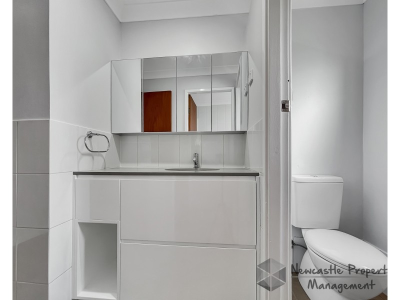 38 Etheridge Crescent, Edgeworth NSW 2285