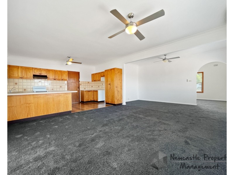 58 Second Street, Cardiff South NSW 2285