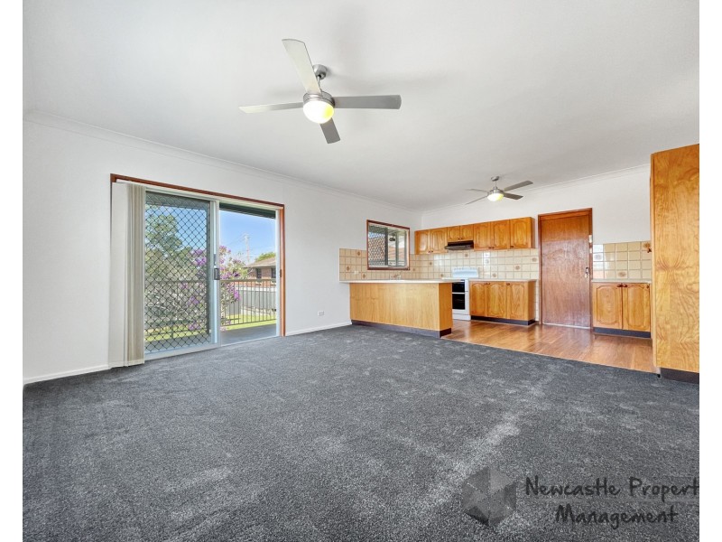 58 Second Street, Cardiff South NSW 2285