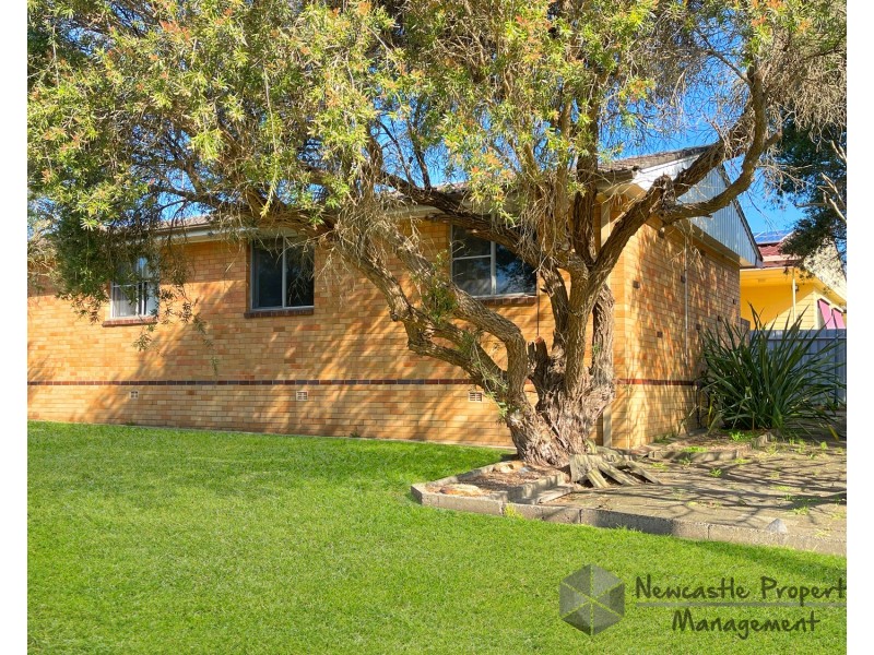 1/2 Bonarius Street, Warners Bay NSW 2282