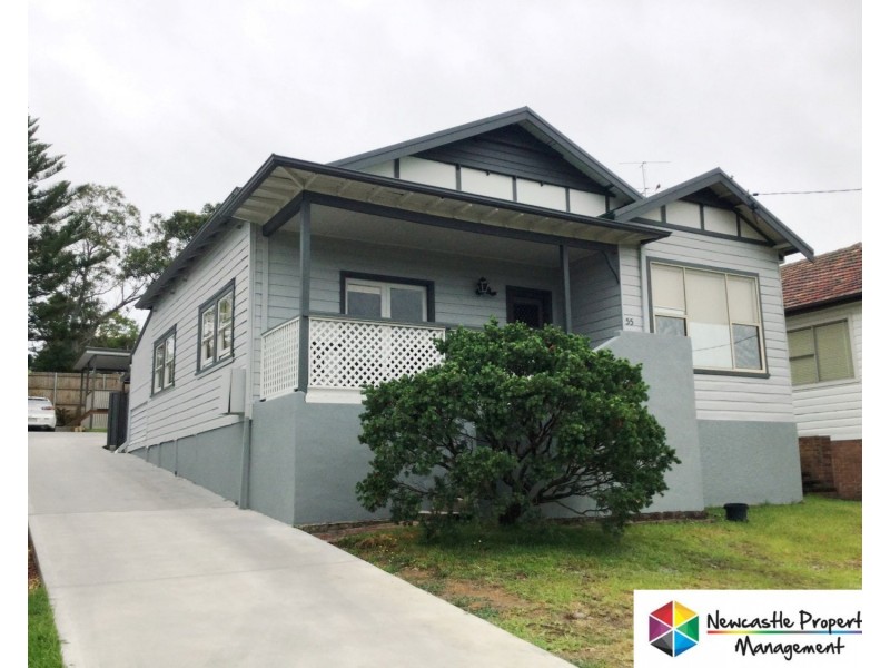 55 Fern Valley Road, Cardiff NSW 2285