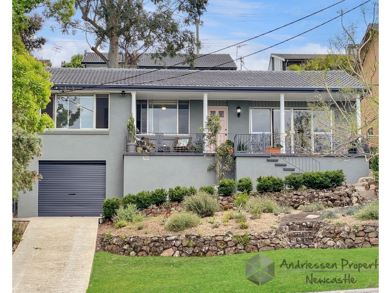 59 Pasadena Crescent, Macquarie Hills NSW 2285