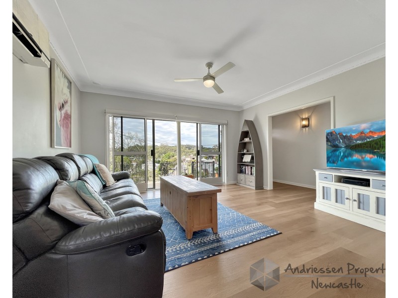 59 Pasadena Crescent, Macquarie Hills NSW 2285