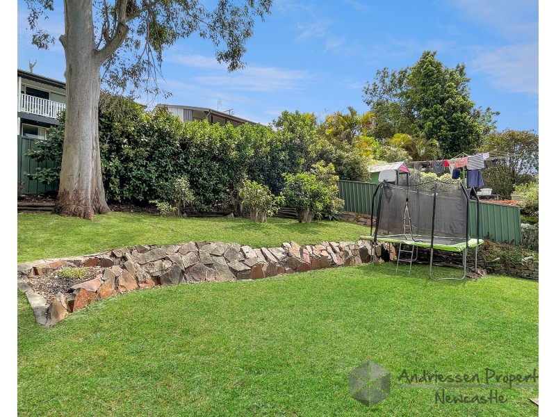 59 Pasadena Crescent, Macquarie Hills NSW 2285