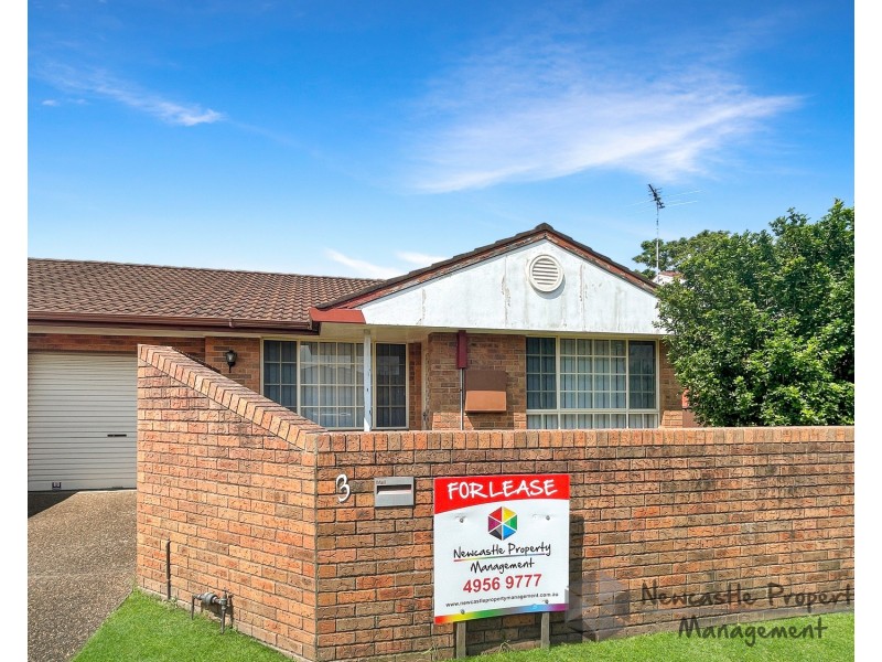 1/3 Teramby Road, Hamilton NSW 2303
