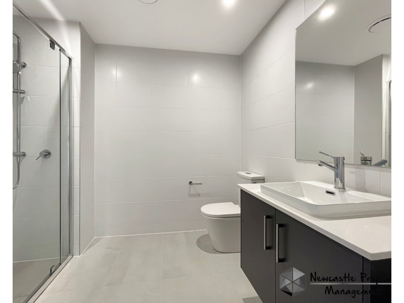 13  Glasspond Street, Chisholm NSW 2322