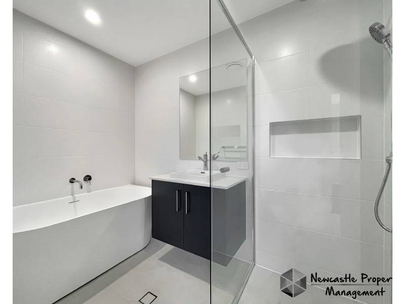 13  Glasspond Street, Chisholm NSW 2322