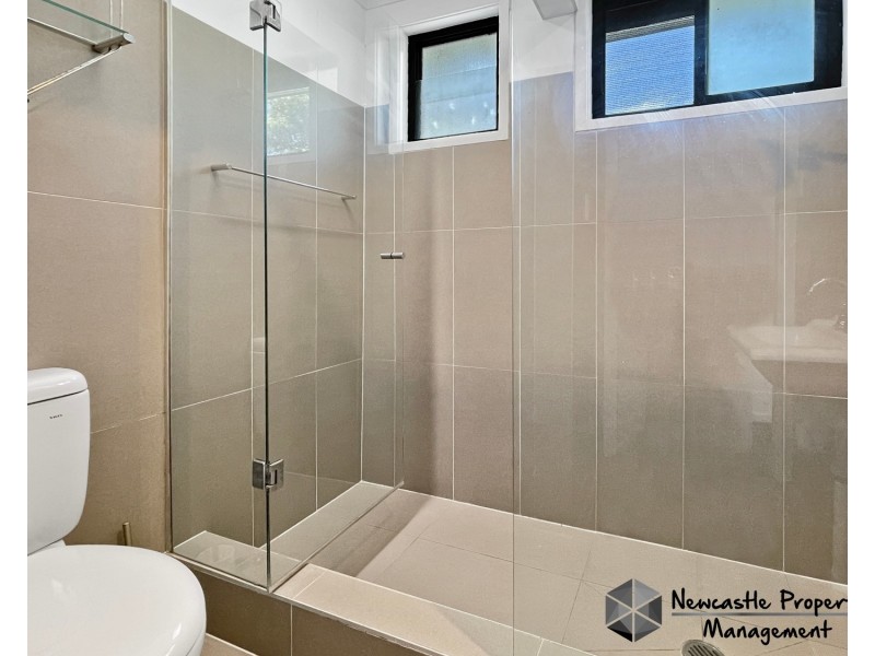 20 Norman Street, Waratah West NSW 2298