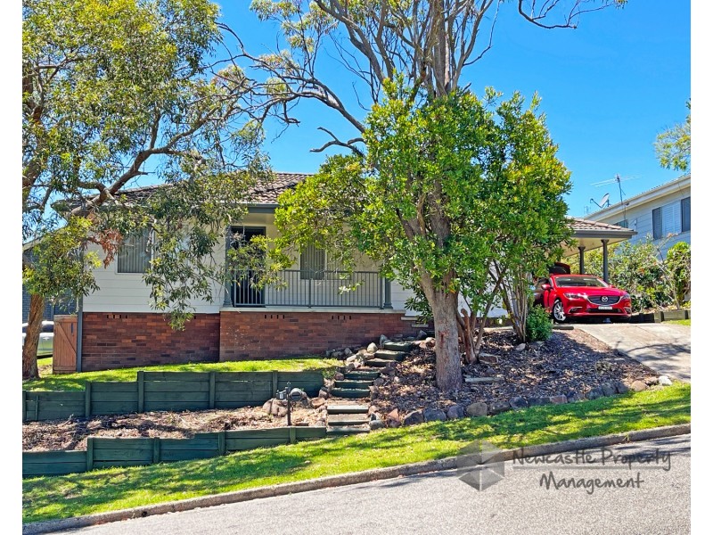 1 Valiant Crescent, Valentine NSW 2280