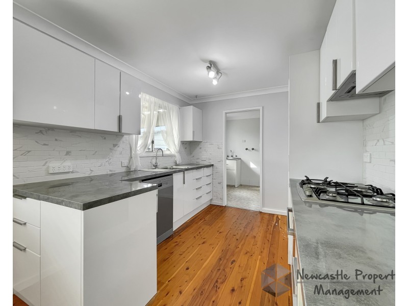 38 Etheridge Crescent, Edgeworth NSW 2285