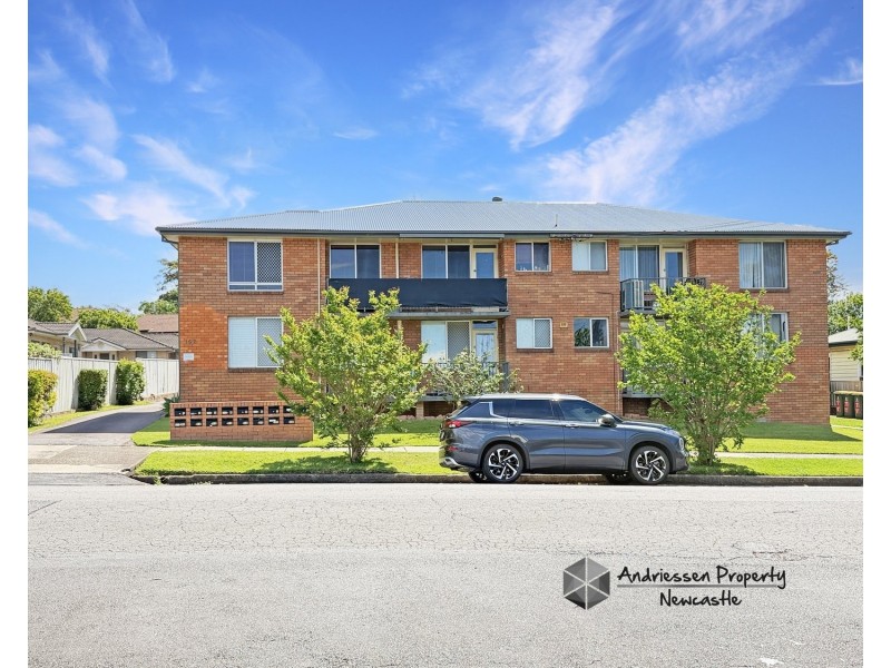 3/102 Bridge Street, Waratah NSW 2298