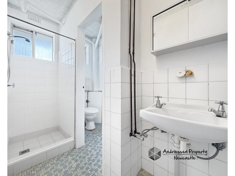 3/102 Bridge Street, Waratah NSW 2298