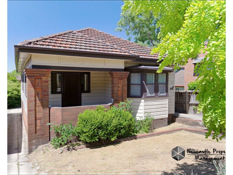 59 Lorna Street, Waratah NSW 2298