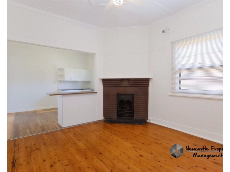 59 Lorna Street, Waratah NSW 2298