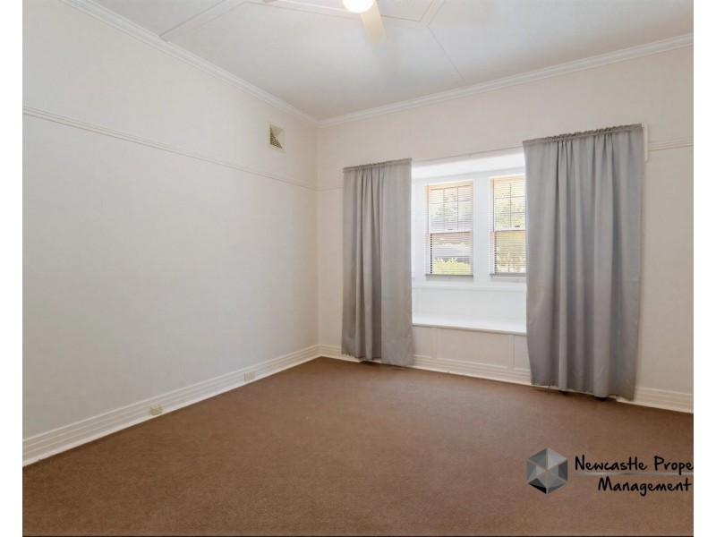 59 Lorna Street, Waratah NSW 2298