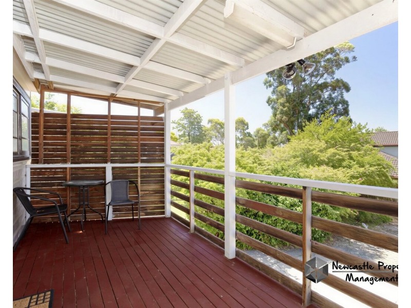 59 Lorna Street, Waratah NSW 2298
