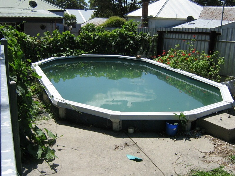 31 Martindale Street, Wallsend NSW 2287