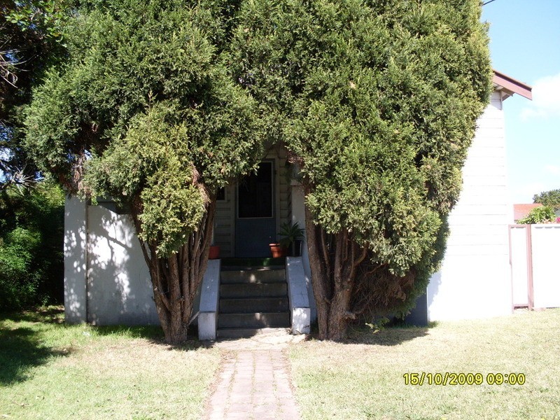 1/5 Mordue Parade, Jesmond NSW 2299