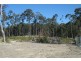 Fletcher NSW 2287