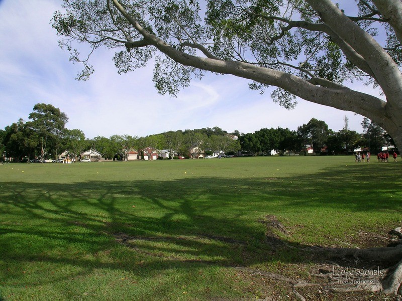 New Lambton NSW 2305