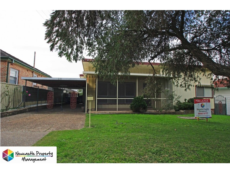 25 Ada Street, Cardiff NSW 2285