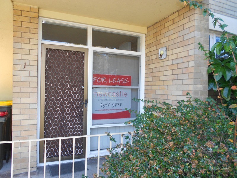 1/30 Railway Road, New Lambton NSW 2305