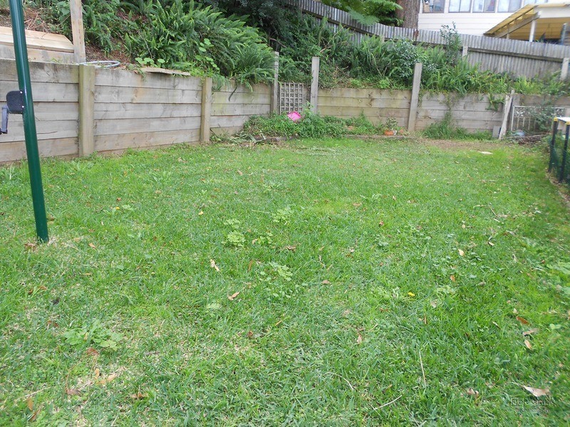 8 Camellia Street, Cardiff NSW 2285