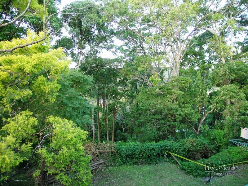 Cardiff Heights NSW 2285