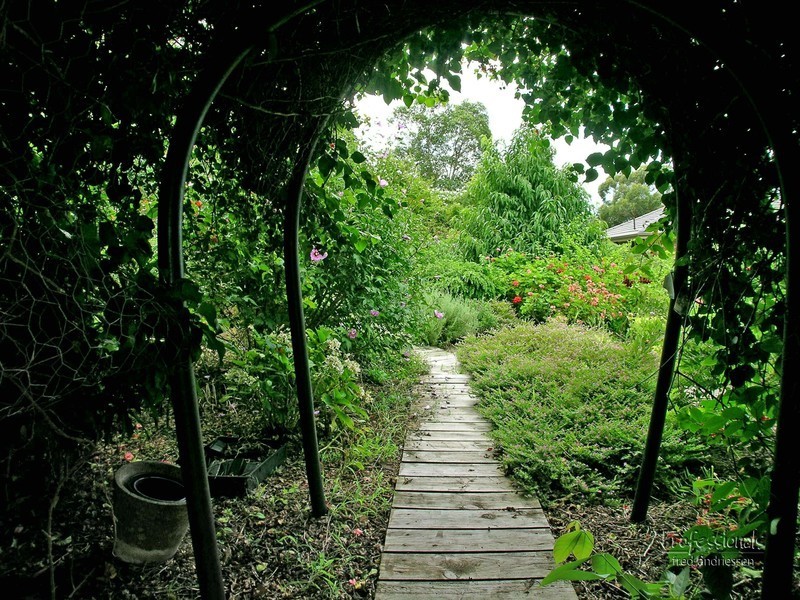 145 Aries Way, Elermore Vale NSW 2287