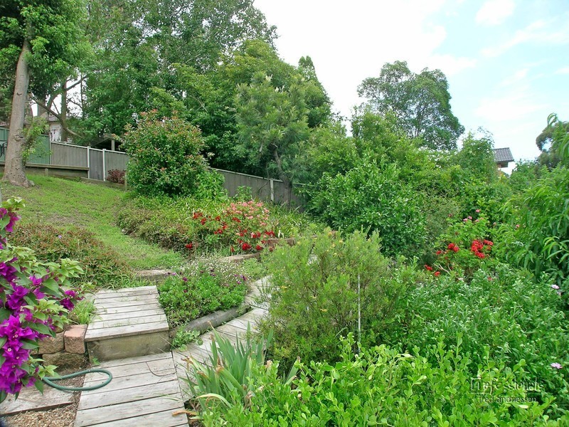 145 Aries Way, Elermore Vale NSW 2287