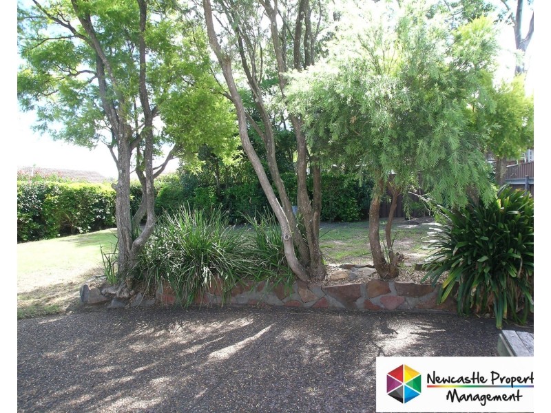 20 Cheryl Avenue, Glendale NSW 2285