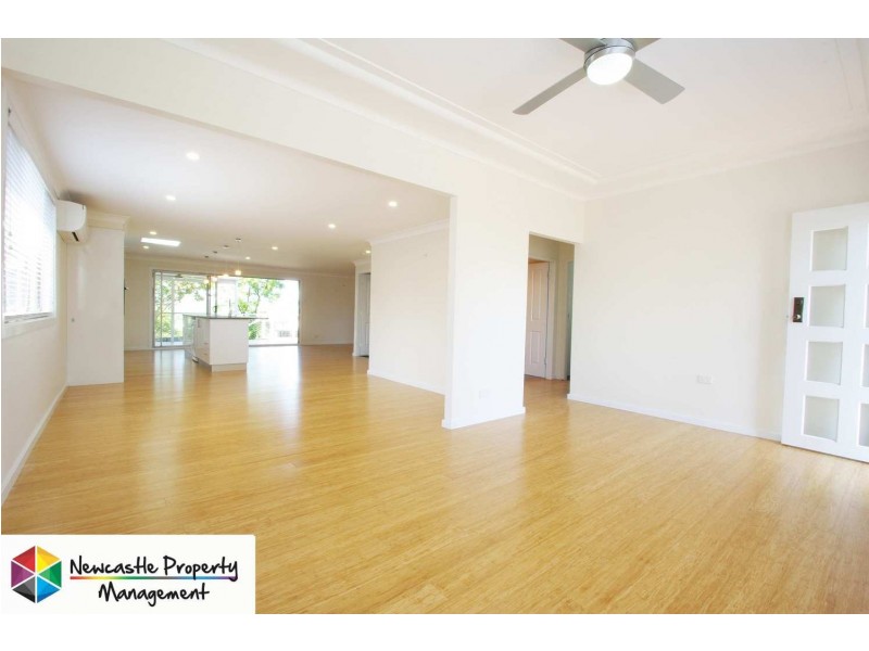 6 Maud Street, Cardiff South NSW 2285