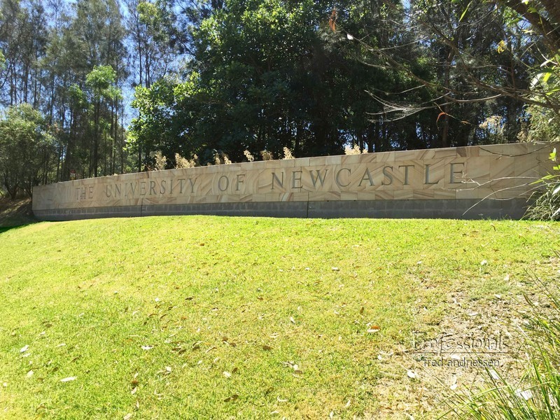 Jesmond NSW 2299