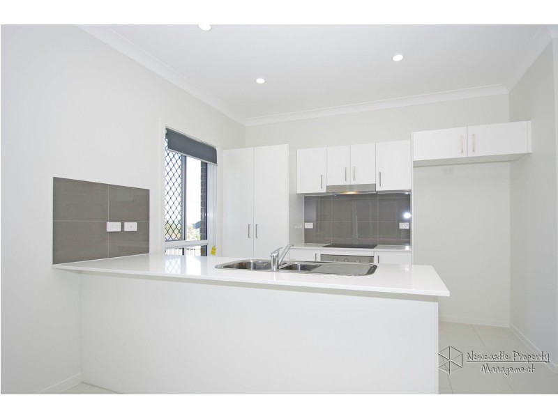 19 Drift Street, West Wallsend NSW 2286