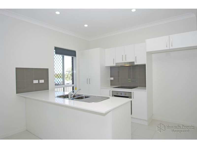 19 Drift Street, West Wallsend NSW 2286