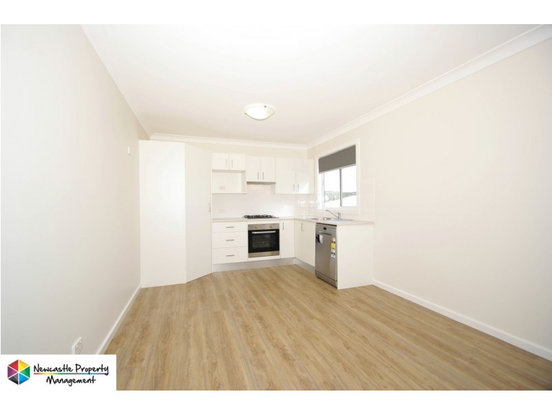 55A Fern Valley Road, Cardiff NSW 2285